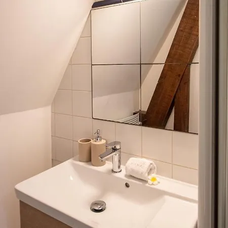 Mana - Te Fiti En Plein Centre De La Place Ducale Avec Vue Sur Les Toits Lejlighed *