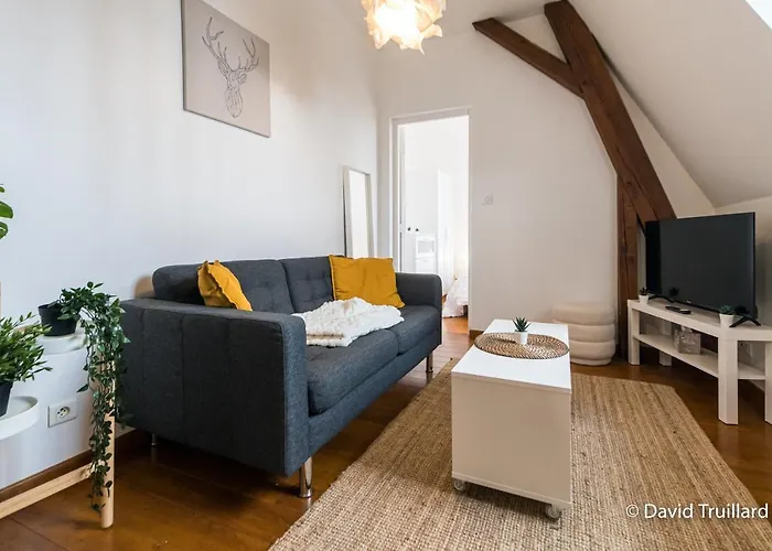 Mana - Te Fiti En Plein Centre De La Place Ducale Avec Vue Sur Les Toits * Charleville-Mézières