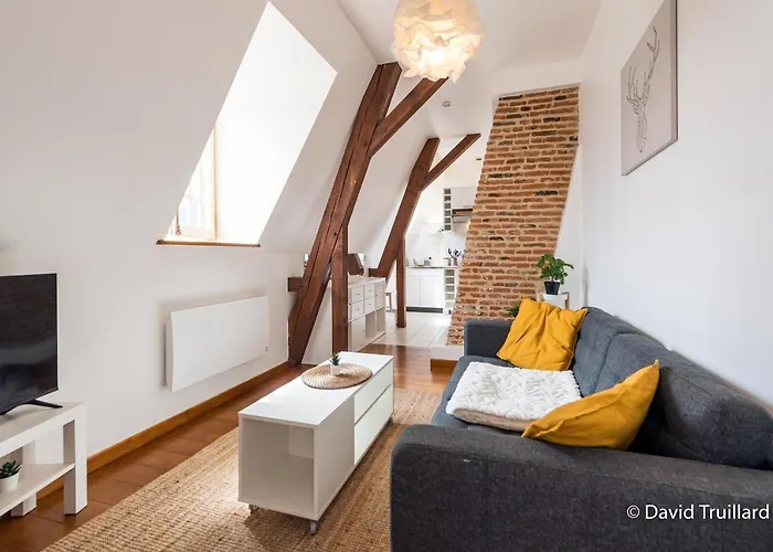 Mana - Te Fiti En Plein Centre De La Place Ducale Avec Vue Sur Les Toits Lejlighed *